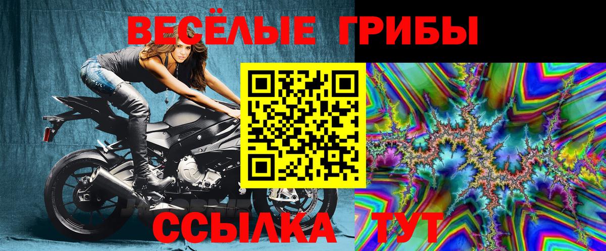 Псилоцибиновые грибы Magic Shrooms Ачхой-Мартан