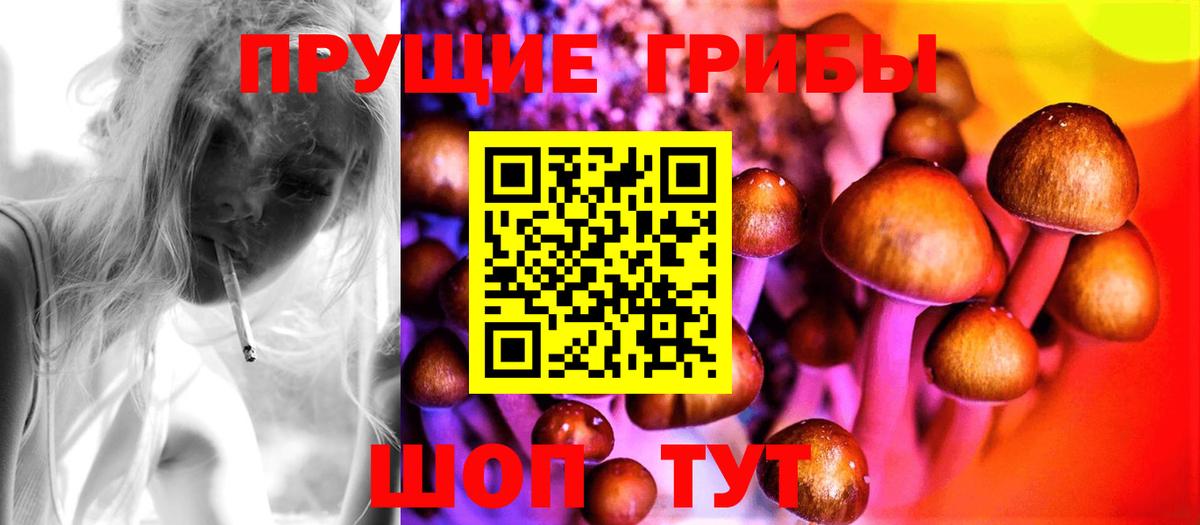 Ачхой-Мартан  Галлюциногенные грибы ЛСД  Вход с VPN 